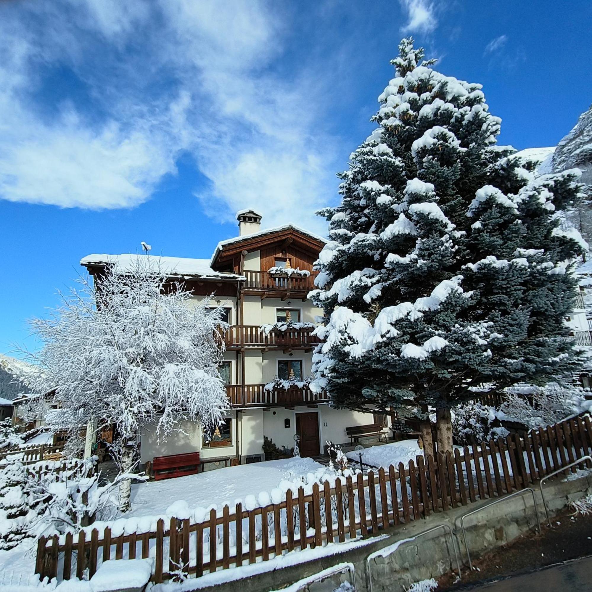 Casa Alfredo Daire Cogne Dış mekan fotoğraf